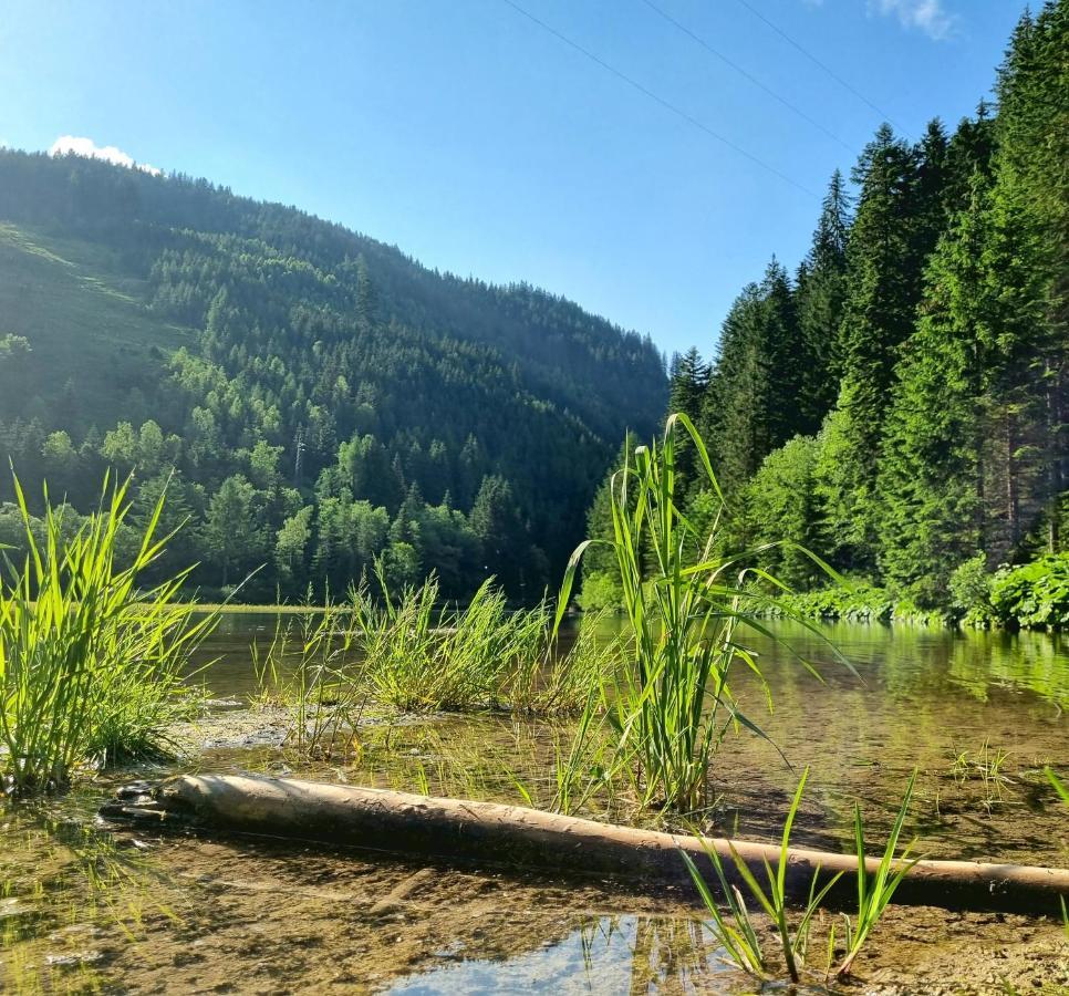 Das Geringer Schladming Buitenkant foto